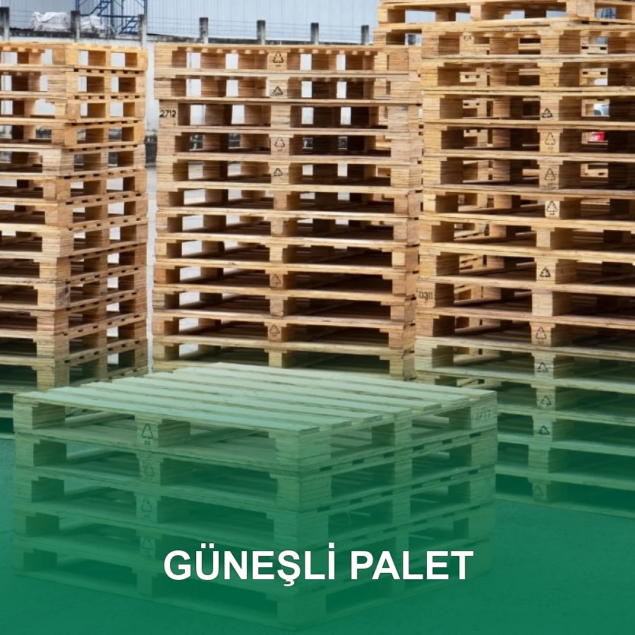 Güneşli Palet