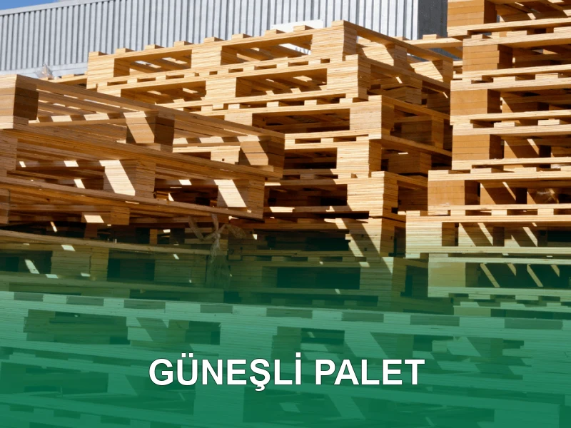 Güneşli Palet Galeri 1