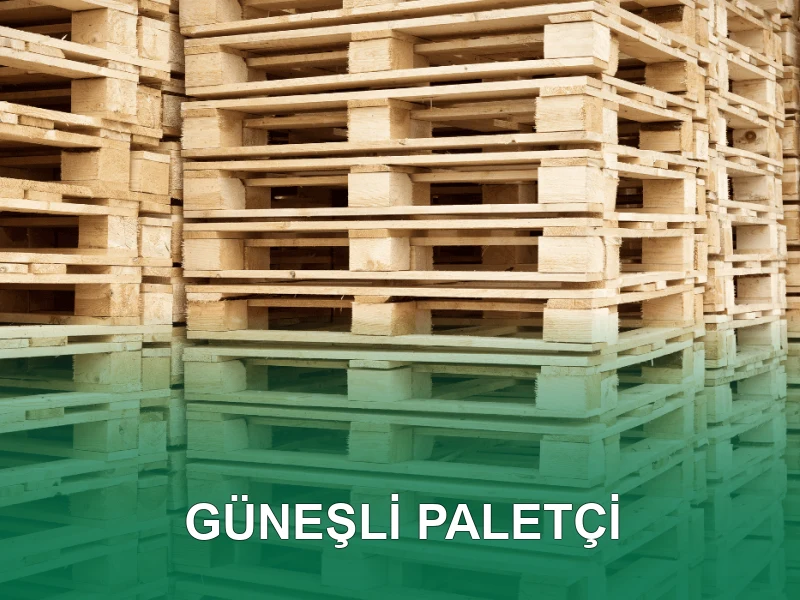 Güneşli Palet Galeri 2