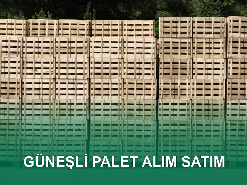 Güneşli Palet Galeri 3
