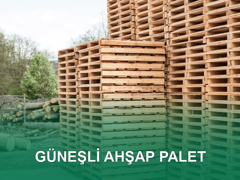 Güneşli Palet Galeri 4
