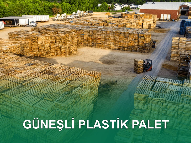 Güneşli Palet Galeri 6