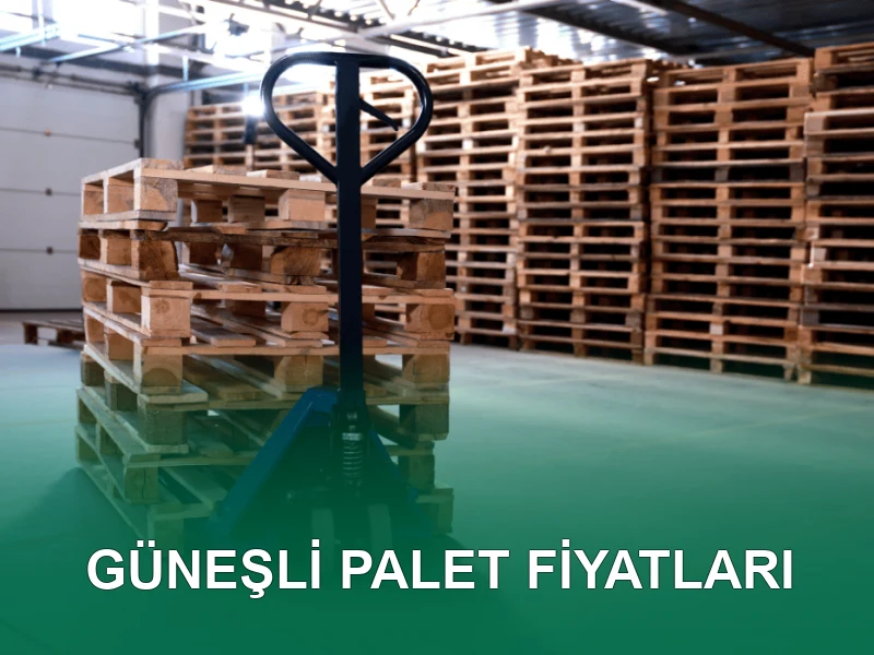 Güneşli Palet Galeri 8