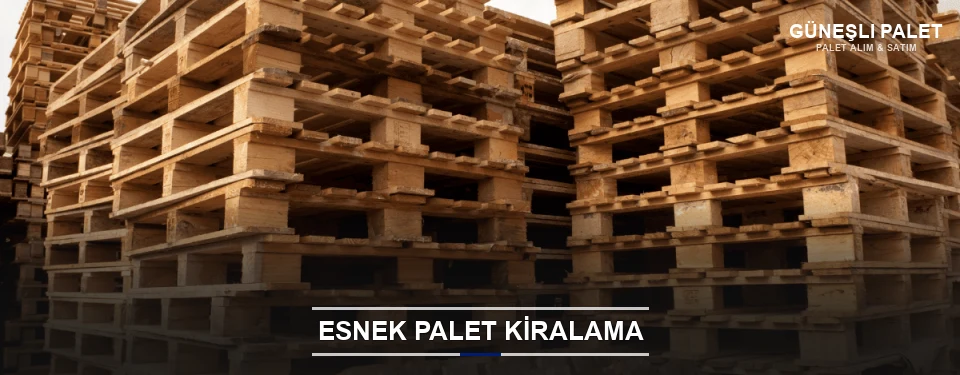 Güneşli Uygun Fiyatlı Palet Kiralama