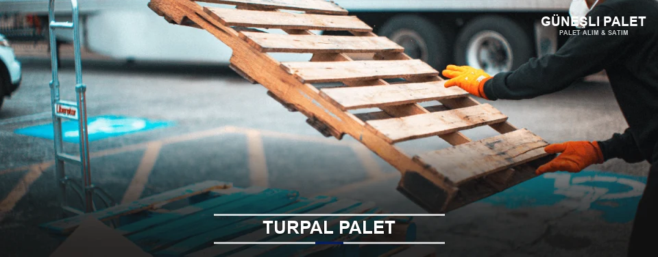Güneşli Market Paleti Turpal